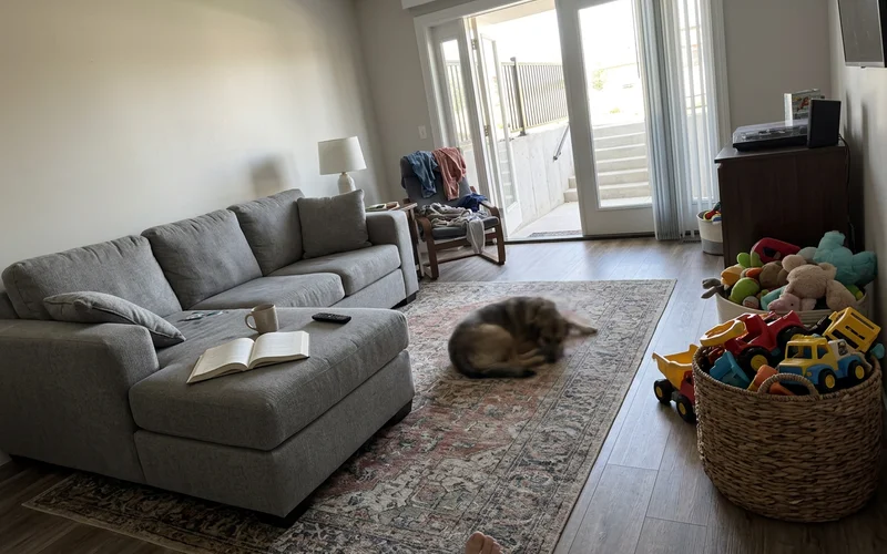 Basement room lit by daylight through walkout French doors
