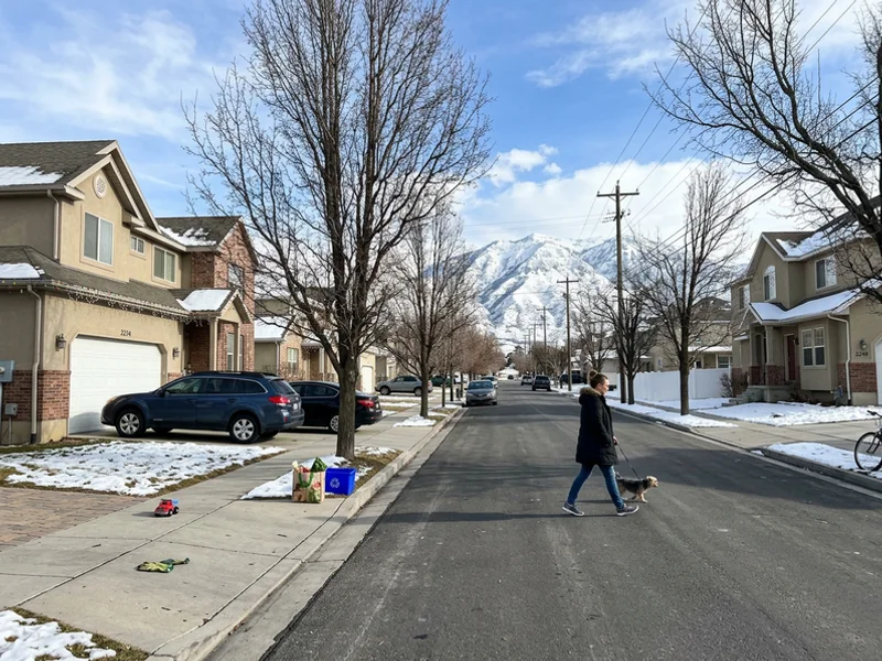 Illustration of a Utah neighborhood with homes and the Wasatch mountains